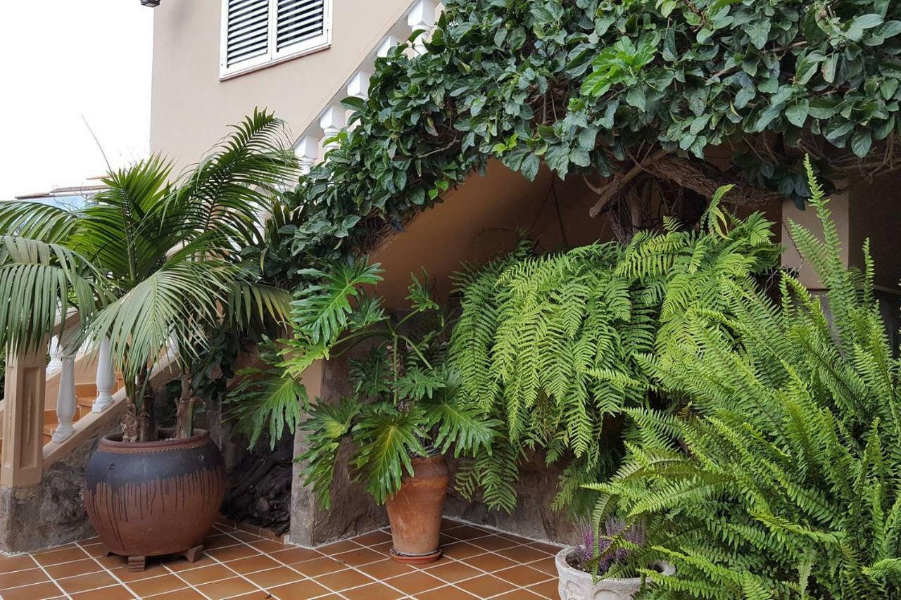 Preciosa casa con Jardín ideal familias La Orotava Exterior foto